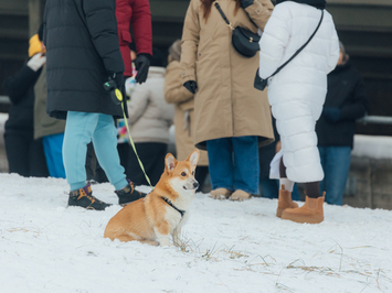 Kristers Aparjods: Pakutināju nervus sev un skatītājiem trases malā
