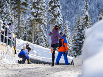 53. FIL Pasaules čempionāts kamaniņu sportā – Whistler (Kanāda), 6.–8. februāris 2025