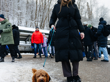 🛷🔥 PASAULES KAUSS SIGULDĀ – LATVIJAS KOMANDAS SNIEGUMS VISĀS DISCIPLĪNĀS 🔥🛷