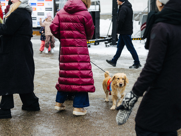 🛷🔥 PASAULES KAUSS SIGULDĀ – LATVIJAS KOMANDAS SNIEGUMS VISĀS DISCIPLĪNĀS 🔥🛷