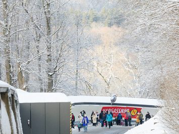 🛷🔥 PASAULES KAUSS SIGULDĀ – LATVIJAS KOMANDAS SNIEGUMS VISĀS DISCIPLĪNĀS 🔥🛷