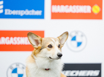 🛷🔥 PASAULES KAUSS SIGULDĀ – LATVIJAS KOMANDAS SNIEGUMS VISĀS DISCIPLĪNĀS 🔥🛷