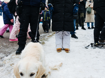 🛷🔥 PASAULES KAUSS SIGULDĀ – LATVIJAS KOMANDAS SNIEGUMS VISĀS DISCIPLĪNĀS 🔥🛷