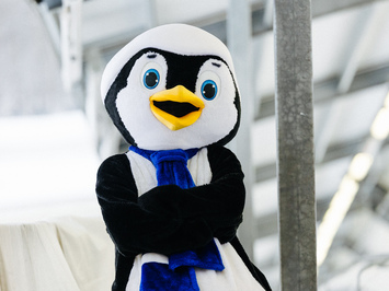 🛷🔥 PASAULES KAUSS SIGULDĀ – LATVIJAS KOMANDAS SNIEGUMS VISĀS DISCIPLĪNĀS 🔥🛷