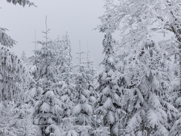 Pasaules kausa piektais posms Vinterbergā: stabili starti un vērtīgi punkti Latvijas izlasei