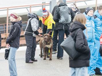 Latvijas juniori izcīna piecas medaļas FIL Junioru Pasaules kausa posmā Siguldā