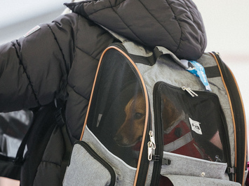 Latvijas juniori izcīna piecas medaļas FIL Junioru Pasaules kausa posmā Siguldā