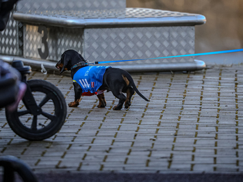 Siguldā noskaidroti Latvijas čempioni kamaniņu sportā 2026